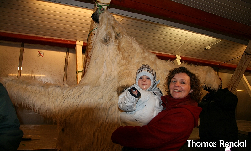 Icebear in nuuk 009.JPG